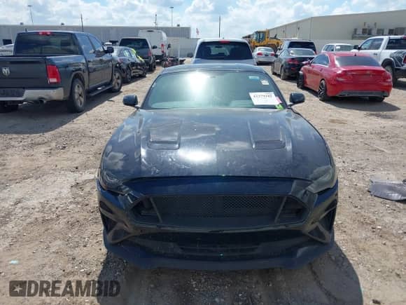 2019 Ford Mustang EcoBoost with VIN 1FA6P8TH4K5103536, listed as a IAAI auction lot 43379181 with Not provided miles and . Bid and sale history available at DreamBid. Image 12.