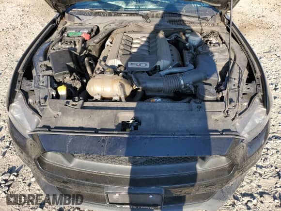 2017 Ford Mustang GT z VIN 1FA6P8CFXH5290014, wystawiony jako Copart lot #89708105 z przebiegiem 167 017 mil mil oraz Czysty tytuł • Clean title. Historia ofert i sprzedaży dostępna na DreamBid. Obrazek 11.