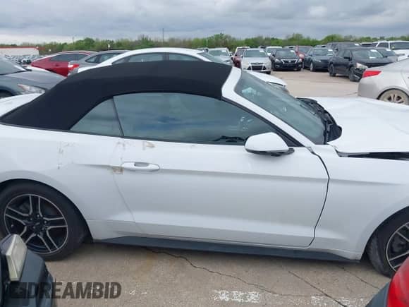 2023 Ford Mustang EcoBoost with VIN 1FATP8UH8P5111289, listed as a IAAI auction lot 41125373 with 13,219 mi miles and . Bid and sale history available at DreamBid. Image 14.