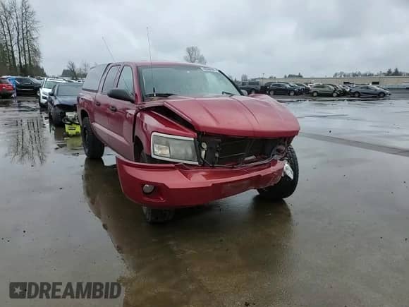 2010 Dodge Dakota Bighorn/Lonestar with VIN 1D7CW3GK4AS225411, listed as a Copart auction lot 48084595 with Not provided miles and Salvage title. Bid and sale history available at DreamBid. Image 15.