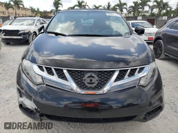 2014 Nissan Murano with VIN JN8AZ1FY5EW301997, listed as a Copart auction lot 53391215 with 43,452 mi miles and Salvage title. Bid and sale history available at DreamBid. Image 5.