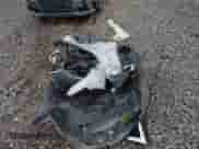 2019 Nissan Frontier SV with VIN 1N6AD0CW6KN739532, listed as a IAAI auction lot 43505834 with 17,224 mi miles and . Bid and sale history available at DreamBid. Image 12.