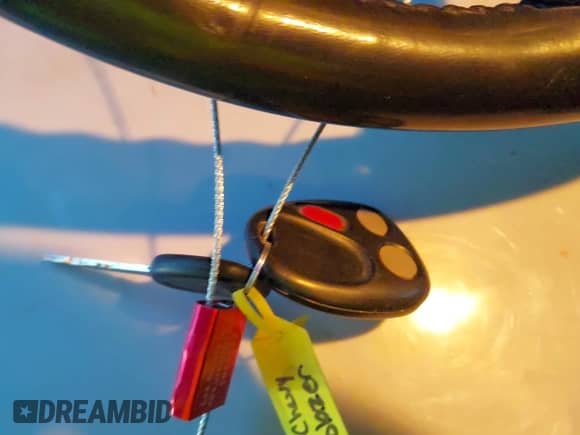 2007 Chevrolet TrailBlazer LT с VIN 1GNDS13SX72294981, выставлен на аукционе IAAI как лот 41233611 с пробегом 242 639 миль миль и . История ставок и продаж доступна на DreamBid. Изображение 11.