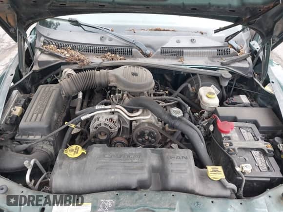 2002 Dodge Dakota z VIN 1B7GG16X42S572717, wystawiony jako IAAI lot #42618358 z przebiegiem 177 066 mil mil oraz . Historia ofert i sprzedaży dostępna na DreamBid. Obrazek 10.