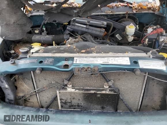 1998 Dodge 2500 with VIN 3B7KF22Z3WG209459, listed as a Copart auction lot 76078064 with 219,421 mi miles and Clean title. Bid and sale history available at DreamBid. Image 11.