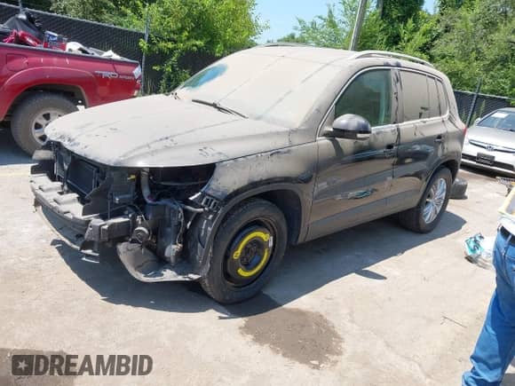 2009 Volkswagen Tiguan S с VIN WVGAV75N29W502193, выставлен на аукционе IAAI как лот 42922634 с пробегом 117 494 миль миль и . История ставок и продаж доступна на DreamBid. Изображение 2.