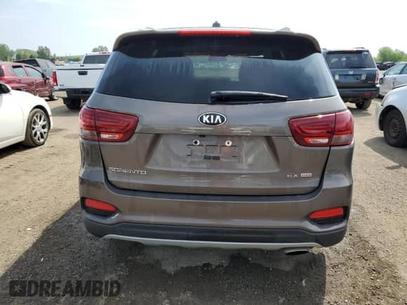 2019 Kia Sorento EX with VIN 5XYPHDA39KG597881, listed as a Copart auction lot 59719525 with 113,263 mi miles and Clean title. Bid and sale history available at DreamBid. Image 6.