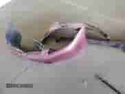 2004 Honda Accord EX with VIN 1HGCM56764A161635, listed as a Copart auction lot 81404475 with 229,218 mi miles and Salvage title. Bid and sale history available at DreamBid. Image 12.