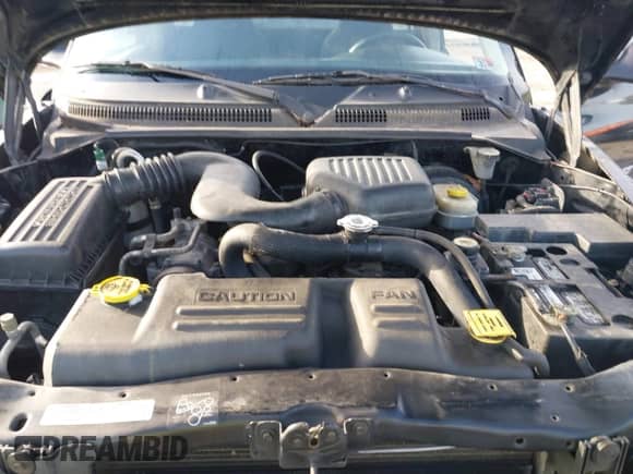 2001 Dodge Dakota с VIN 1B7FL26P01S344323, выставлен на аукционе IAAI как лот 41494859 с пробегом Не указан миль и . История ставок и продаж доступна на DreamBid. Изображение 10.