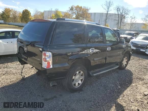 2002 Cadillac Escalade с VIN 1GYEK63N62R250670, выставлен на аукционе Copart как лот 82495305 с пробегом Не указан миль и Списание • Salvage title. История ставок и продаж доступна на DreamBid. Изображение 3.