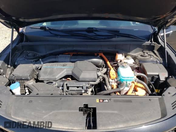 2022 Kia Sorento SX Prestige with VIN KNDRMDLH2N5088001, listed as a Copart auction lot 51992195 with 49,029 mi miles and Salvage title. Bid and sale history available at DreamBid. Image 12.