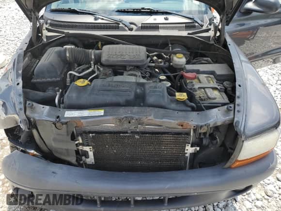 2004 Dodge Dakota with VIN 1D7HG12K84S672178, listed as a Copart auction lot 60396005 with 270,950 mi miles and Salvage title. Bid and sale history available at DreamBid. Image 11.