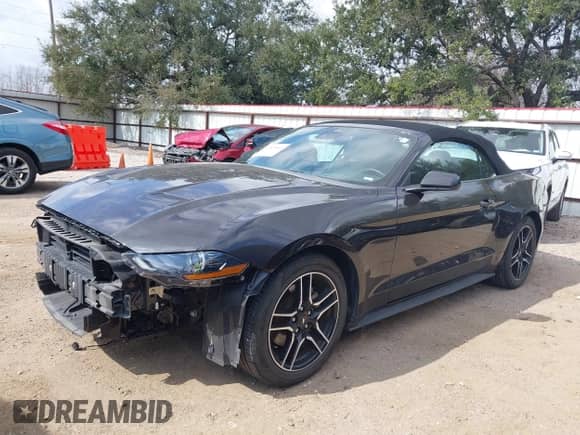2023 Ford Mustang EcoBoost with VIN 1FATP8UH3P5103665, listed as a IAAI auction lot 41525864 with 41,666 mi miles and . Bid and sale history available at DreamBid. Image 18.