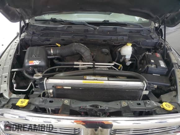 2010 Dodge 1500 SLT z VIN 1D7RV1CT9AS118709, wystawiony jako Copart lot #59520425 z przebiegiem 169 345 mil mil oraz Szkoda całkowita • Salvage title. Historia ofert i sprzedaży dostępna na DreamBid. Obrazek 11.