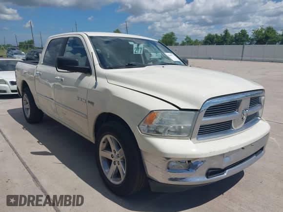 2010 Dodge 1500 SLT with VIN 1D7RB1CT2AS226288, listed as a IAAI auction lot 42809973 with 111,418 mi miles and . Bid and sale history available at DreamBid. Image 1.