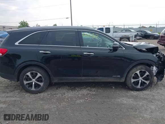 2018 Kia Sorento EX with VIN 5XYPHDA53JG386482, listed as a IAAI auction lot 42506632 with 128,886 mi miles and . Bid and sale history available at DreamBid. Image 13.