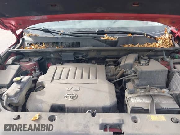 2009 Toyota RAV4 Sport with VIN JTMBK32V195076873, listed as a IAAI auction lot 43516663 with 190,198 mi miles and . Bid and sale history available at DreamBid. Image 10.