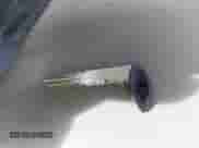 2012 Ram 1500 ST с VIN 1C6RD6FK7CS200462, выставлен на аукционе IAAI как лот 43546724 с пробегом 232 374 миль миль и . История ставок и продаж доступна на DreamBid. Изображение 11.