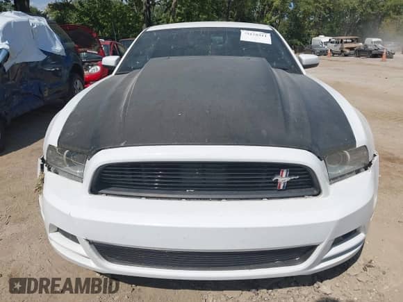 2014 Ford Mustang GT z VIN 1ZVBP8CF8E5200618, wystawiony jako IAAI lot #43128311 z przebiegiem 115 137 mil mil oraz . Historia ofert i sprzedaży dostępna na DreamBid. Obrazek 12.