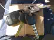 2007 Hyundai Entourage GLS с VIN KNDMC233X76040121, выставлен на аукционе IAAI как лот 42097349 с пробегом 113 790 миль миль и . История ставок и продаж доступна на DreamBid. Изображение 11.