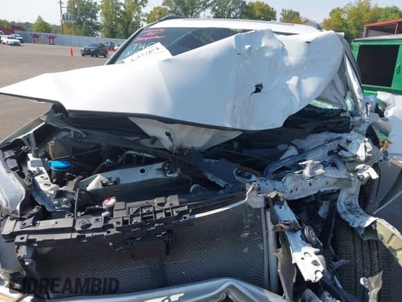 2022 Honda Pilot Special Edition z VIN 5FNYF6H26NB083789, wystawiony jako IAAI lot #43227852 z przebiegiem Nie podano mil oraz . Historia ofert i sprzedaży dostępna na DreamBid. Obrazek 10.