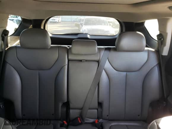 2020 Hyundai Santa Fe Limited z VIN 5NMS5CAA1LH237670, wystawiony jako Copart lot #89615975 z przebiegiem 46 636 mil mil oraz Szkoda całkowita • Salvage title. Historia ofert i sprzedaży dostępna na DreamBid. Obrazek 10.