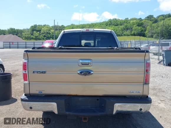 2013 Ford F-150 XL с VIN 1FTFW1EF6DFB42755, выставлен на аукционе IAAI как лот 42623891 с пробегом 162 568 миль миль и . История ставок и продаж доступна на DreamBid. Изображение 17.