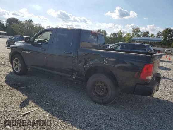 2010 Dodge 1500 SLT with VIN 1D7RB1CT1AS176368, listed as a Copart auction lot 80113815 with 209,907 mi miles and Salvage title. Bid and sale history available at DreamBid. Image 2.