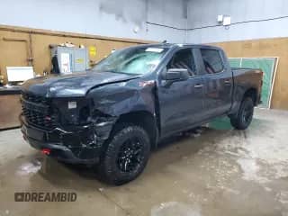 2022 Chevrolet Silverado 1500 Custom Trail Boss with VIN 1GCPYCEK6NZ149938, listed as a Copart auction lot 84920954 with 43,250 mi miles and Salvage title. Bid and sale history available at DreamBid. Image 1.