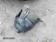 2022 Hyundai Sonata SEL with VIN 5NPEL4JA8NH143722, listed as a IAAI auction lot 43374235 with 23,041 mi miles and . Bid and sale history available at DreamBid. Image 18.