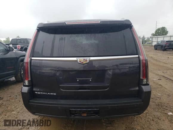 2016 Cadillac Escalade Luxury Collection with VIN 1GYS4BKJ9GR428387, listed as a Copart auction lot 59757775 with Not provided miles and Clean title. Bid and sale history available at DreamBid. Image 6.