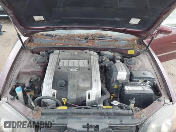 2003 Hyundai XG with VIN KMHFU45E33A252846, listed as a IAAI auction lot 42897334 with 94,636 mi miles and . Bid and sale history available at DreamBid. Image 10.