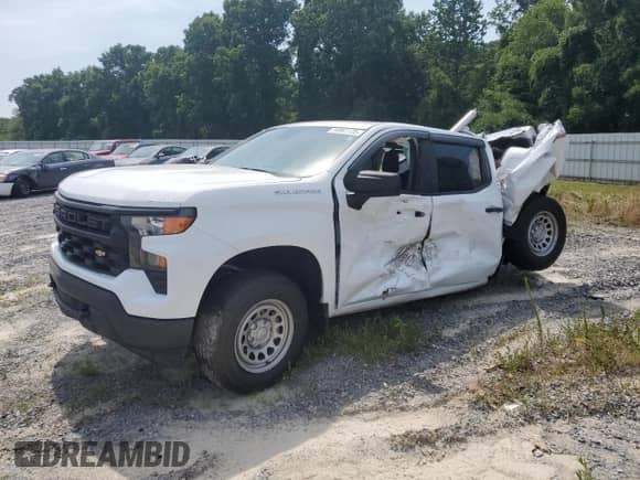 2023 Chevrolet Silverado 1500 Work Truck with VIN 1GCPDAEK3PZ217695, listed as a Copart auction lot 59963135 with Not provided miles and Salvage title. Bid and sale history available at DreamBid. Image 1.