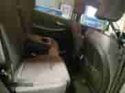 2021 Hyundai Santa Fe SE с VIN 5NMS1DAJ4MH360107, выставлен на аукционе Copart как лот 36486573 с пробегом 50 634 миль миль и . История ставок и продаж доступна на DreamBid. Изображение 10.