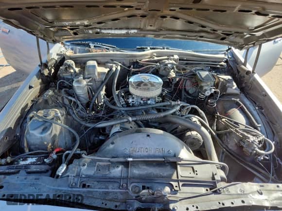 1983 Chevrolet Caprice with VIN 1G1AN69H6DX155174, listed as a Copart auction lot 80213775 with 19,781 mi miles and Salvage title. Bid and sale history available at DreamBid. Image 11.