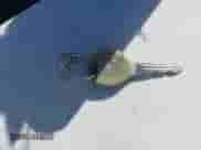 2000 Jeep Grand Cherokee Laredo z VIN 1J4GW48S0YC309210, wystawiony jako IAAI lot #43551821 z przebiegiem 324 070 mil mil oraz . Historia ofert i sprzedaży dostępna na DreamBid. Obrazek 11.