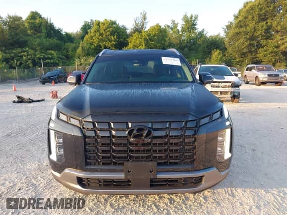 2023 Hyundai Palisade Limited with VIN KM8R54GE1PU574574, listed as a IAAI auction lot 42729386 with 34,130 mi miles and . Bid and sale history available at DreamBid. Image 12.
