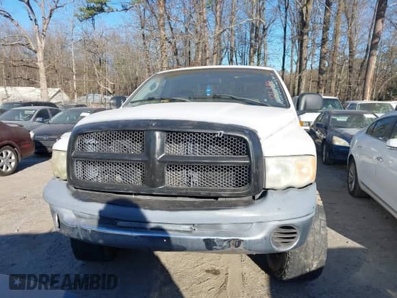 2002 Dodge RAM with VIN 1B7HU16Z02J121384, listed as a IAAI auction lot 41703702 with 167,549 mi miles and . Bid and sale history available at DreamBid. Image 6.
