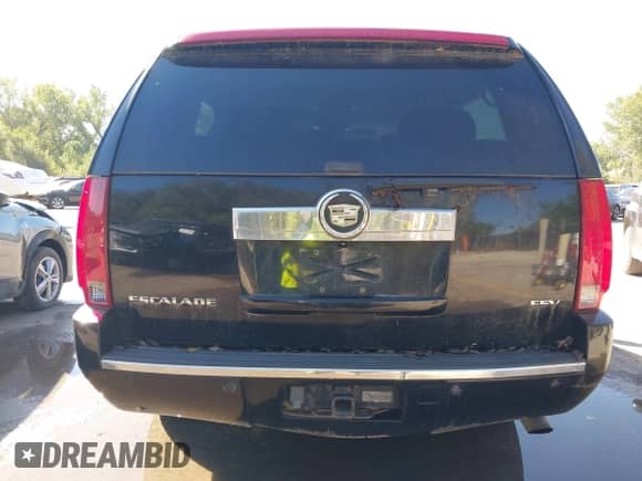 2007 Cadillac Escalade ESV with VIN 1GYFK66827R241448, listed as a IAAI auction lot 43307285 with 289,319 mi miles and . Bid and sale history available at DreamBid. Image 15.