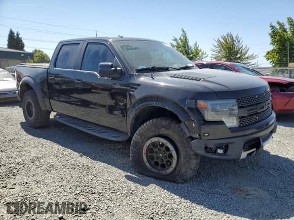 2014 Ford F-150 SVT Raptor with VIN 1FTFW1R69EFB17005, listed as a Copart auction lot 67997015 with 181,586 mi miles and Salvage title. Bid and sale history available at DreamBid. Image 4.