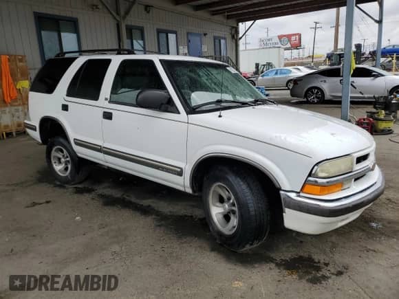 1999 Chevrolet Blazer LT z VIN 1GNCS13W0X2213307, wystawiony jako Copart lot #66022085 z przebiegiem 191 583 mil mil oraz Szkoda całkowita • Salvage title. Historia ofert i sprzedaży dostępna na DreamBid. Obrazek 4.