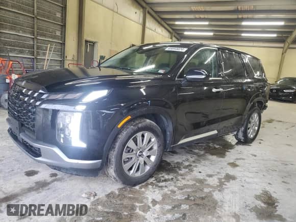 2023 Hyundai Palisade SE с VIN KM8R1DGE1PU560136, выставлен на аукционе Copart как лот 69893024 с пробегом Не указан миль и Списание • Salvage title. История ставок и продаж доступна на DreamBid. Изображение 1.