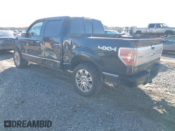 2011 Ford F-150 XL with VIN 1FTFW1EF8BFA68560, listed as a IAAI auction lot 41363995 with 223,373 mi miles and . Bid and sale history available at DreamBid. Image 3.