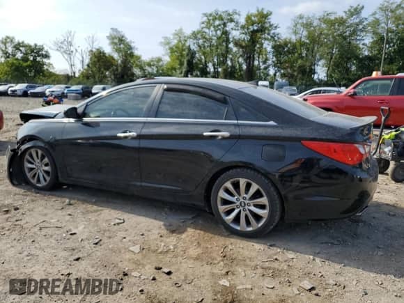 2013 Hyundai Sonata SE с VIN 5NPEC4AB1DH523539, выставлен на аукционе Copart как лот 81466535 с пробегом 130 410 миль миль и Списание • Salvage title. История ставок и продаж доступна на DreamBid. Изображение 2.