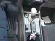 2024 Nissan Kicks SR с VIN 3N1CP5DV5RL510987, выставлен на аукционе IAAI как лот 42655469 с пробегом 10 017 миль миль и . История ставок и продаж доступна на DreamBid. Изображение 11.