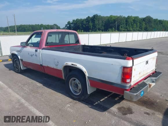 1988 Dodge Dakota with VIN 1B7FN14X4JS766943, listed as a IAAI auction lot 42588206 with 183,527 mi miles and . Bid and sale history available at DreamBid. Image 3.