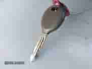 2005 Dodge Neon SXT with VIN 1B3ES56C65D148931, listed as a IAAI auction lot 41435443 with 212,989 mi miles and . Bid and sale history available at DreamBid. Image 11.