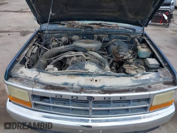 1995 Dodge Dakota с VIN 1B7GG23X6SS221866, выставлен на аукционе IAAI как лот 42449940 с пробегом 146 680 миль миль и . История ставок и продаж доступна на DreamBid. Изображение 10.