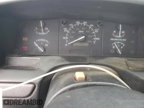 1995 Ford F-150 with VIN 1FTDF15Y7SNA97918, listed as a Copart auction lot 56505725 with 296,106 mi miles and Clean title. Bid and sale history available at DreamBid. Image 9.