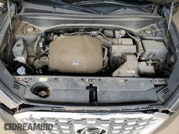 2021 Hyundai Palisade SE с VIN KM8R14HE9MU234076, выставлен на аукционе Copart как лот 64782845 с пробегом 65 406 миль миль и Списание • Salvage title. История ставок и продаж доступна на DreamBid. Изображение 12.